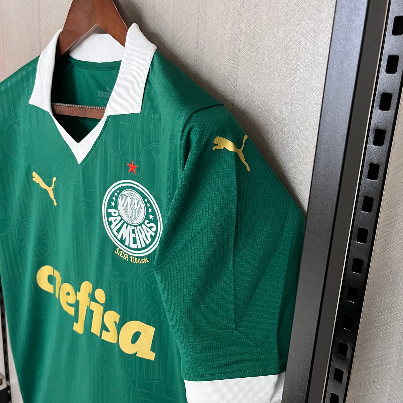 Palmeiras 2024-25 Casa