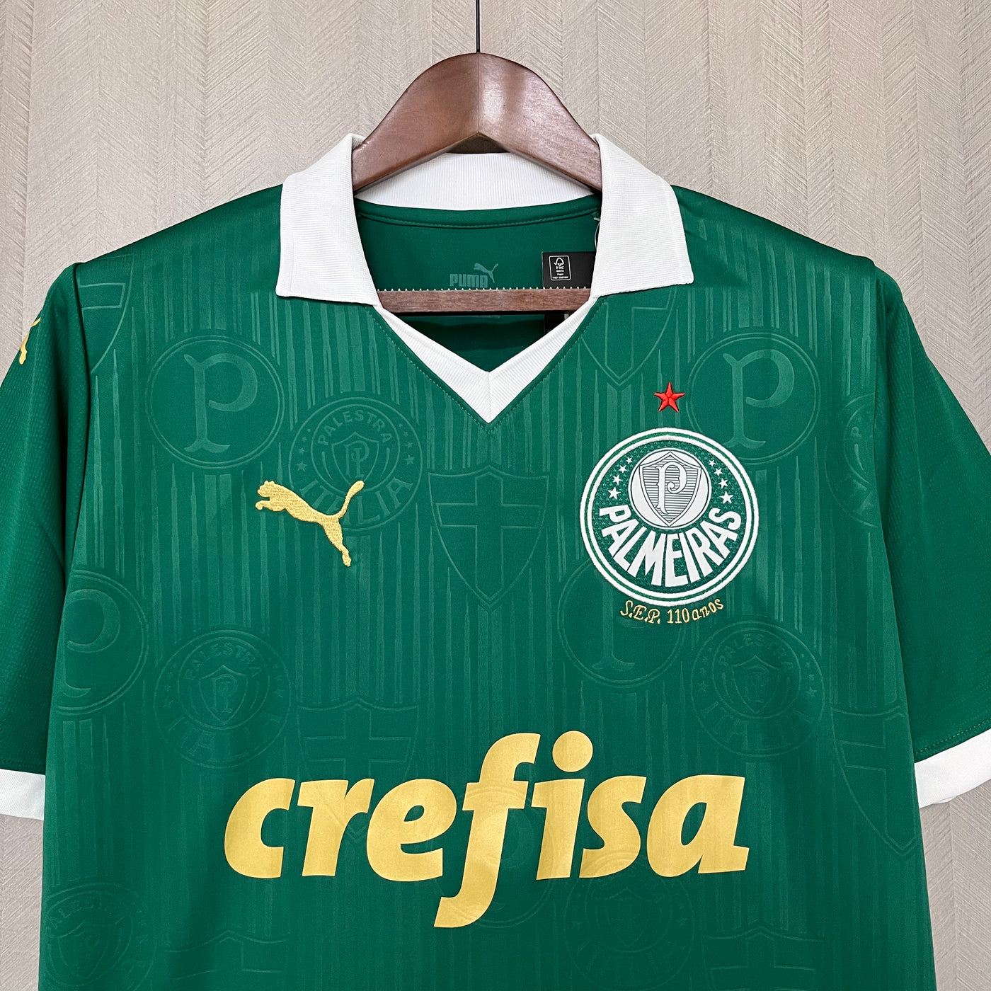 Palmeiras 2024-25 Casa