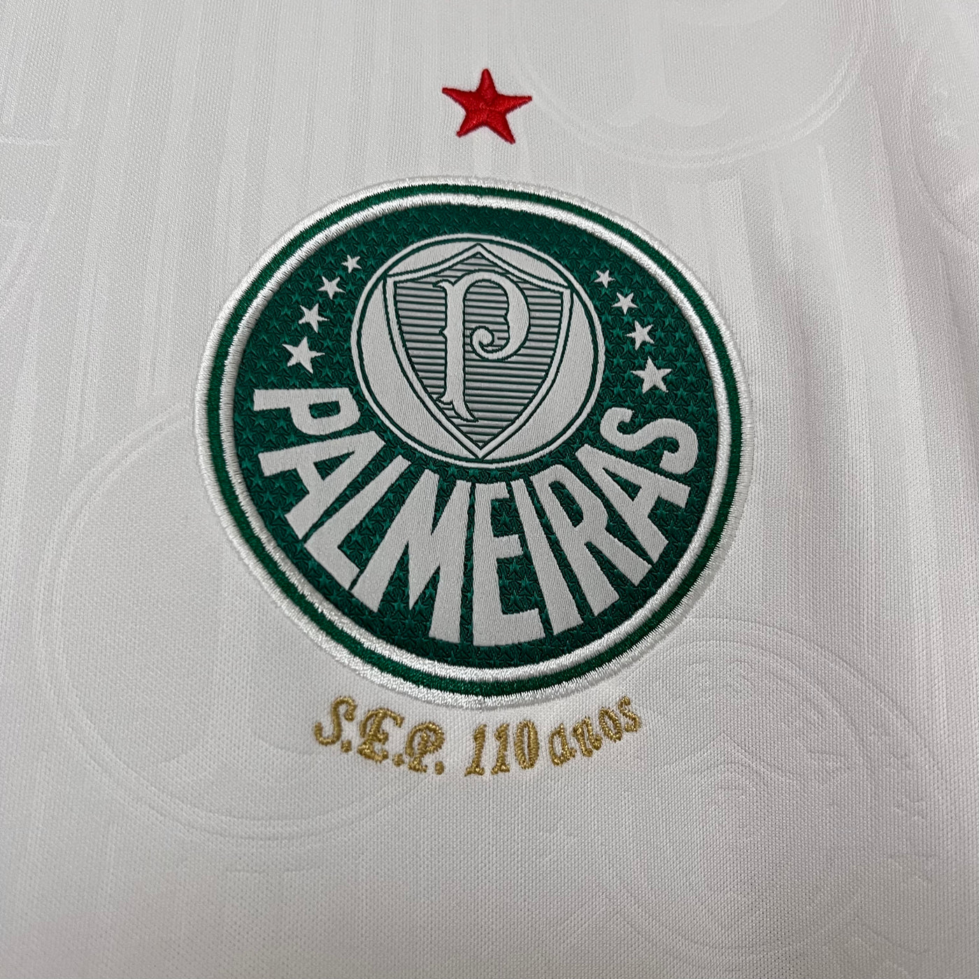 Palmeiras 2024-25 Fora