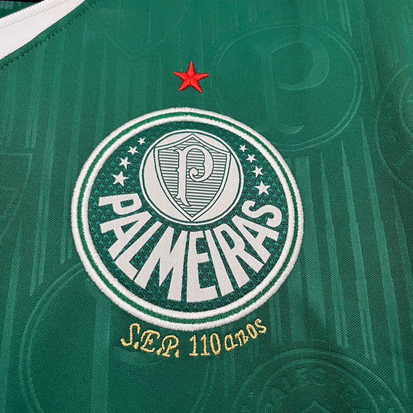 Palmeiras 2024-25 Casa